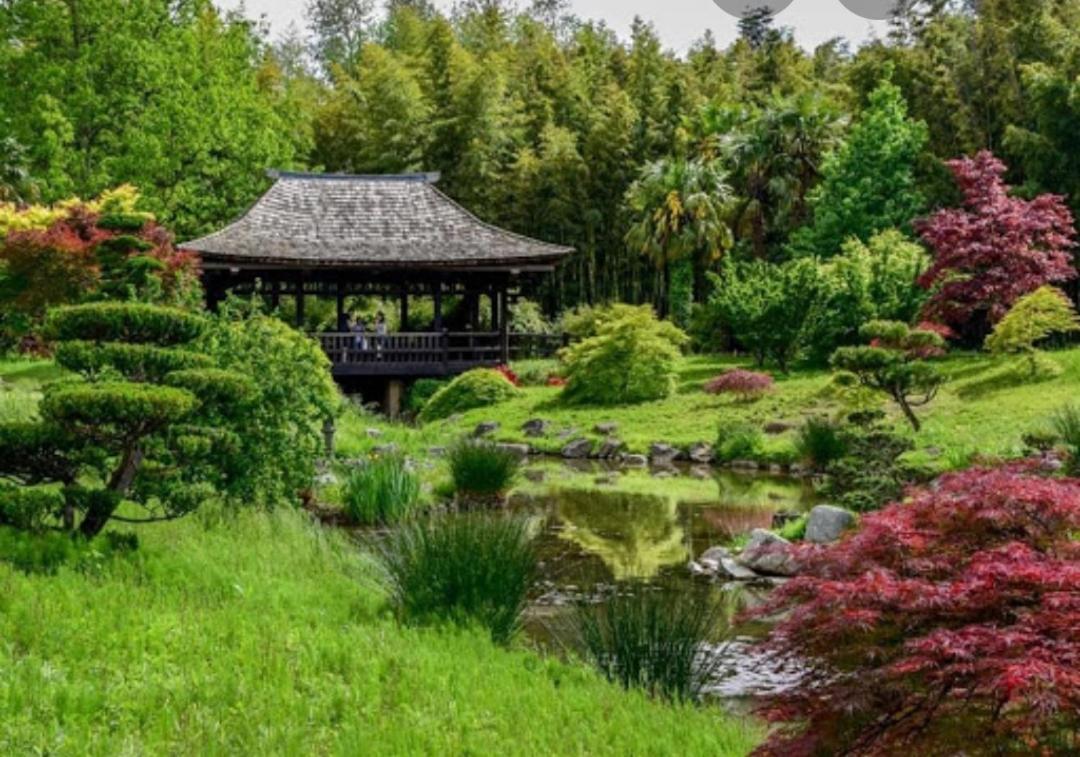 Charmant Chalet Pour 2 Personnes Spa Prive Massillargues-Attuech 外观 照片